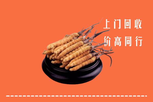 高价求购：东升镇回收散虫草