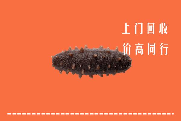 东升镇回收海参