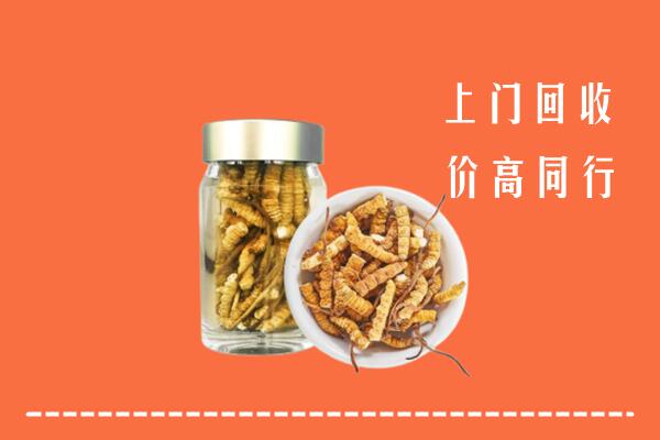 东升镇回收冬虫夏草